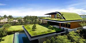 custom home with a green roof